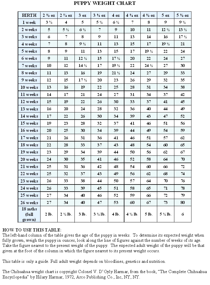 Chihuahua Weight Chart